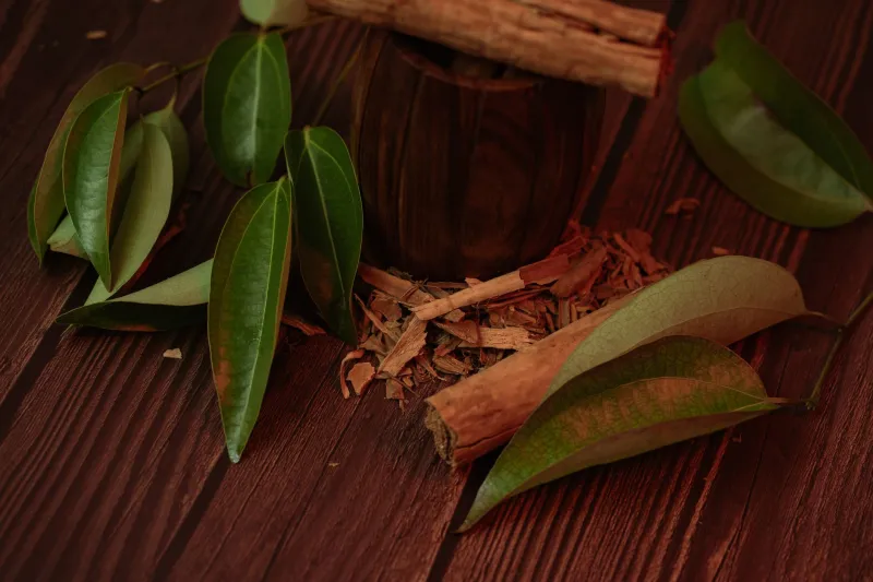 Your Dosha, Your Detox: Why That Spring Cleanse Might Actually Be Making You Feel Worse